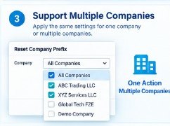 Support Multiple Companies